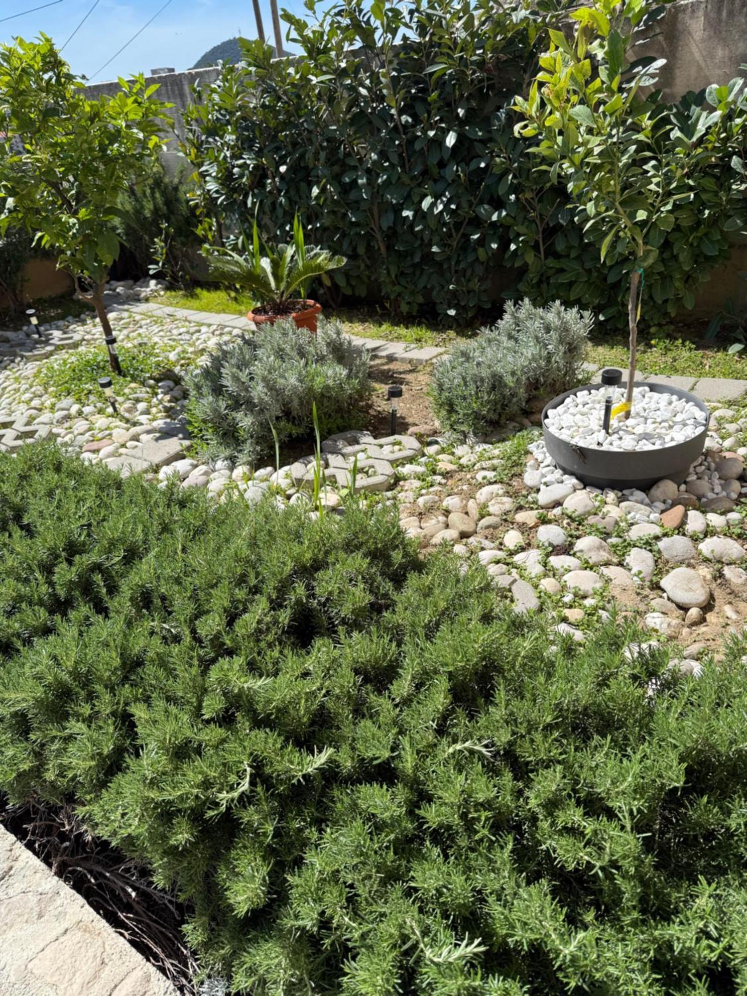Lemon Tree Dubrovnik Apartments Exterior photo